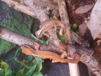 20180304_173039.jpg
