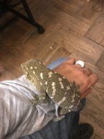 reps 8.jpg