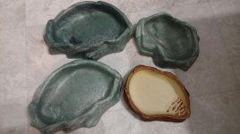 water dish2.jpg