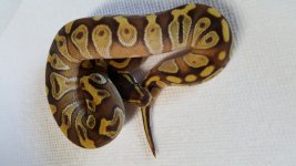 20171003_081551.jpg