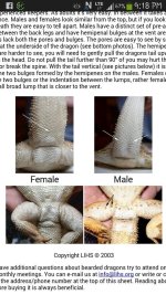 B0410BE3-7C0A-4AB0-ABE2-14E575FC2AE1.JPG