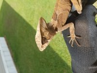 20171011_141255.jpg