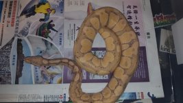 20180304_115607.jpg