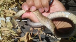 20171005_094152.jpg