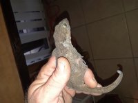 20180211_113120.jpg