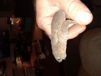 20180211_113144.jpg