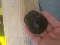 20170929_083611.jpg 20170929_083611.jpg