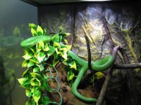 IMG_8889.jpg