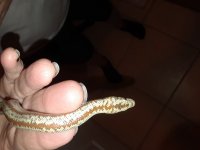 20180116_180621.jpg