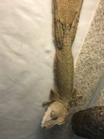 IMG_1367.jpg