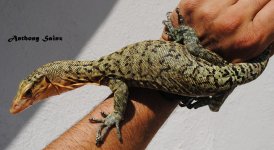 DSC_4028.JPG