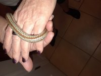 20180116_180633.jpg