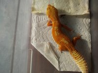 20180322_090842.jpg