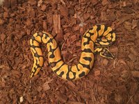 5F8A8212-F6B4-4451-A682-ACF8FFEB20D3.jpg