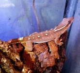 20160811_163424.jpg