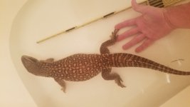 20171117_152520.jpg
