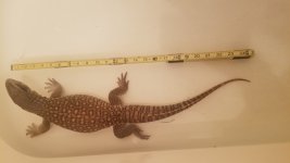 20171117_152413.jpg