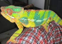 IMG_7779.jpg