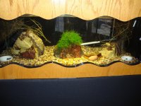 fish tank-built in.jpg