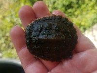 20180410_171820.jpg