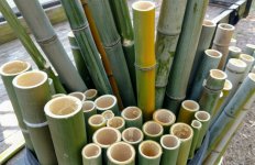 bamboo-08-01-17a.jpg