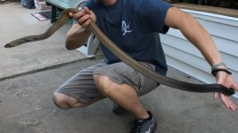 IMG_1602.jpg