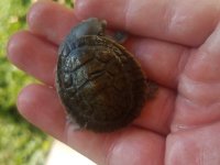 20180410_171842.jpg