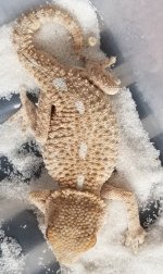 20180120_140725.jpg