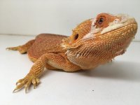 3B37B7D4-DAAC-425F-ACE2-A2D92C745CF0.jpg