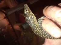 20180324_171709.jpg