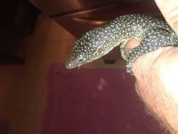 20180324_171644.jpg