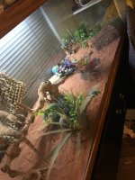 IMG_2914.jpg