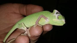 IMG_20180305_183104.jpg
