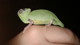 IMG_20180305_182821.jpg