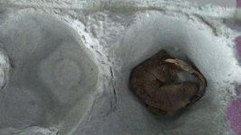 20170806_151616.jpg