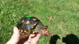 20170924_131655.jpg
