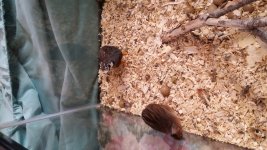 20180319_182252.jpg