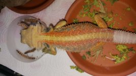 20171015_173206.jpg