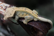 DSC_3255.jpg