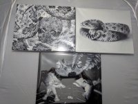 Metal print.jpg