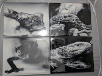 Metal print2.jpg
