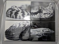 Metal print3.jpg
