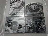 Metal print4.jpg