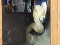 IMG_4226.jpg