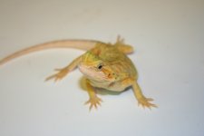 IMG_7691.jpg