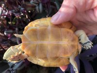 IMG_2003.jpg