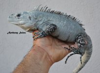 DSC_6146.jpg