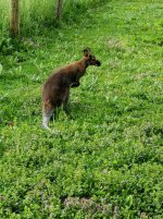 20180505_084612.jpg