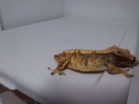 20180318_180428.jpg