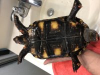 3BF6D312-E068-4CDB-8691-A09A6A367907.jpg